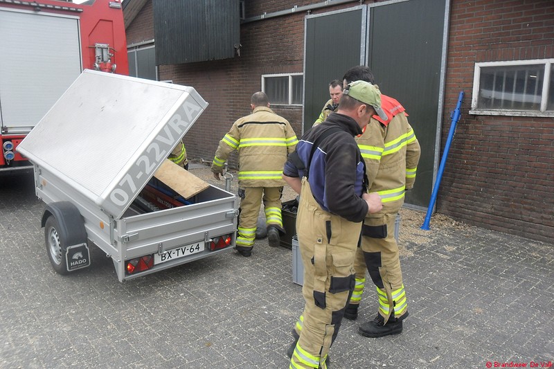 Koe in de put